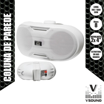 Coluna de parede branca com grelha metálica, oval, com conectores traseiros e texto de especificações técnicas