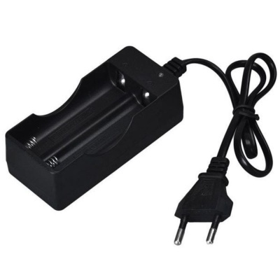 Carregador de baterias preto com plugue europeu e dois compartimentos