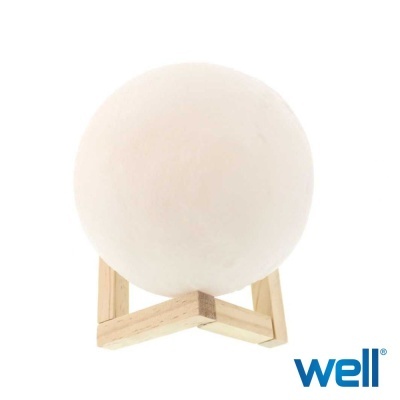 Lâmpada esférica branca com suporte em madeira clara