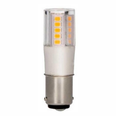 Lâmpada LED com base metálica e LEDs visíveis