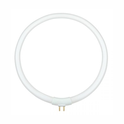 Lâmpada circular fluorescente branca com pinos dourados