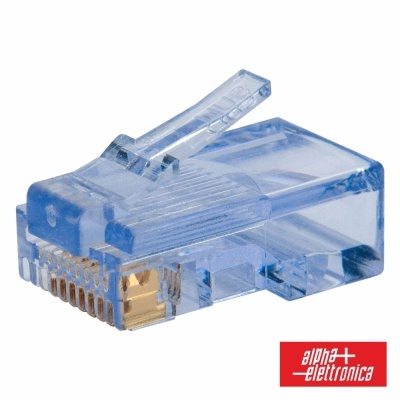 Conector RJ45 transparente com pinos dourados