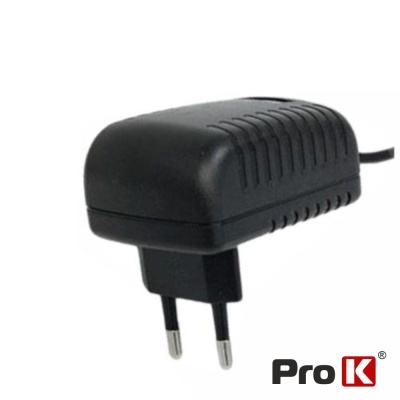 Carregador elétrico preto com plugue europeu de dois pinos e cabo