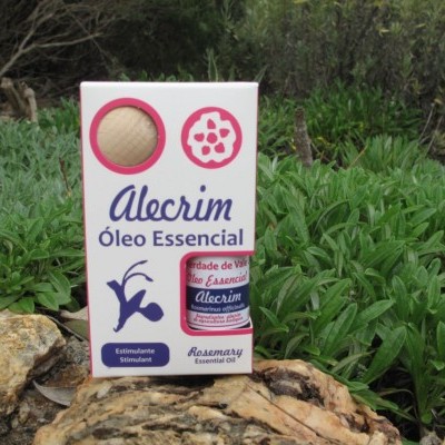 Caixa de óleo essencial de alecrim sobre pedras com plantas ao fundo