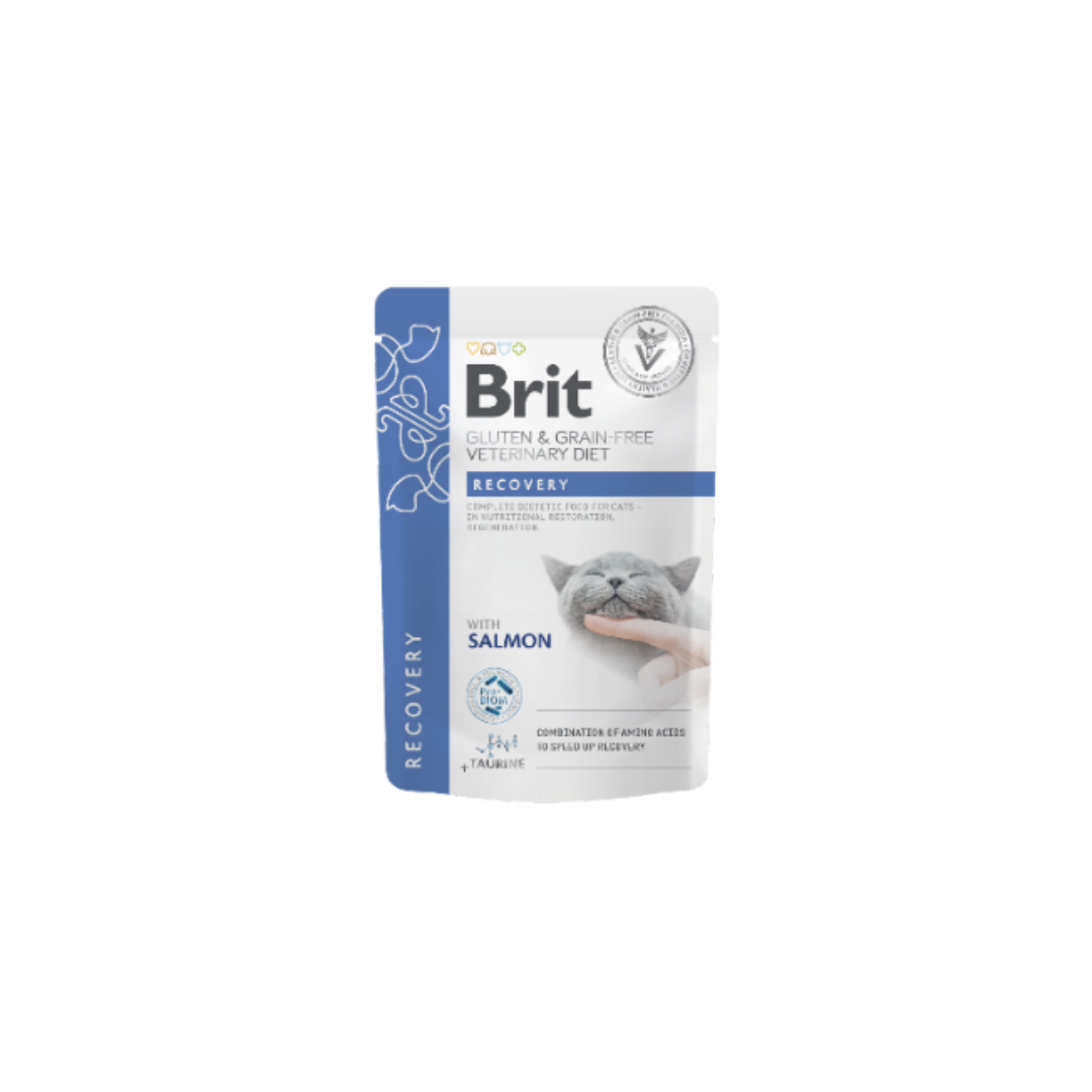 Pacote de comida para gato Brit Recovery com salmão