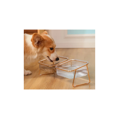 Comedouro e bebedouro elevados com tigelas transparentes para cão no chão de madeira