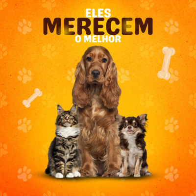 Imagem de um cão, um gato e um cão pequeno sobre fundo laranja com texto 'ELES MERECEM O MELHOR'.