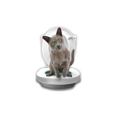 Gato cinzento sentado numa minicassete branca para gatos com tampa levantada