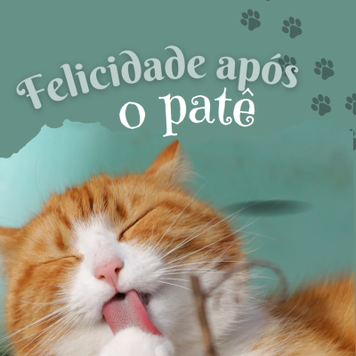 Gato laranja e branco a lamber a pata com texto 'Felicidade após o patê' e pegadas no fundo
