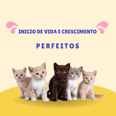 Cinco gatinhos coloridos sentados com texto em fundo bege
