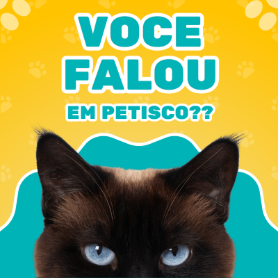 Imagem de gato com texto 'VOCE FALOU EM PETISCO??' em fundo amarelo e azul com patas de animal.