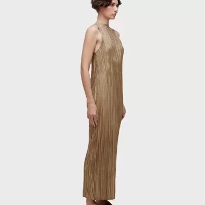 Vestido dourado comprido plissado com sapatos castanhos