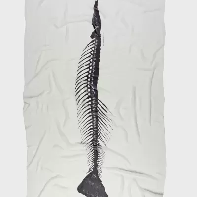 Toalha branca com estampa de esqueleto de peixe em preto