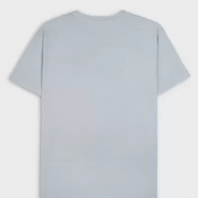 T-shirt cinza claro vista pelas costas