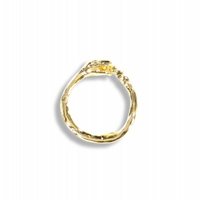 Anel dourado em forma de serpente circular mordendo a própria cauda