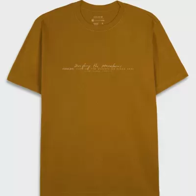 T-shirt castanha com estampagem branca no centro