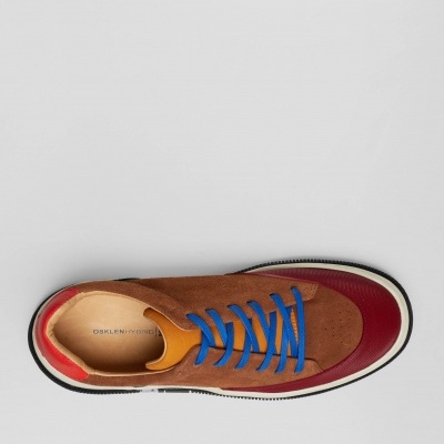 Sapatilha desportiva castanha com detalhes vermelhos, amarelos e atacadores azuis vista de cima