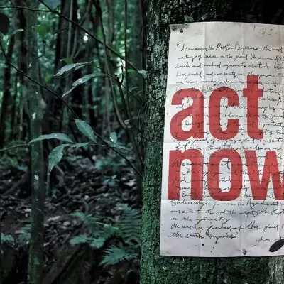 Póster com texto act NOW! pendurado numa árvore na floresta