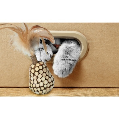 Mãos de gato cinzentas saindo de caixa de cartão com brinquedo de madeira e penas