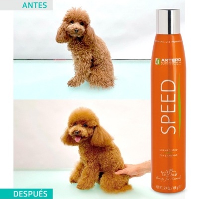 Antes e depois de cão com champô seco Artero Cosmetics