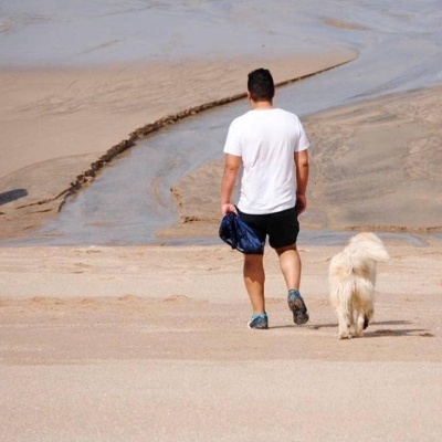Homem de costas na areia com cão branco a caminhar