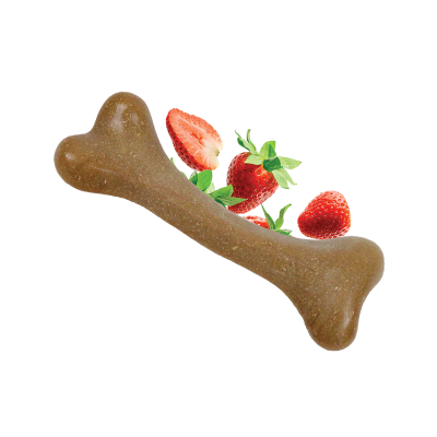 Osso para cães castanho com morangos frescos
