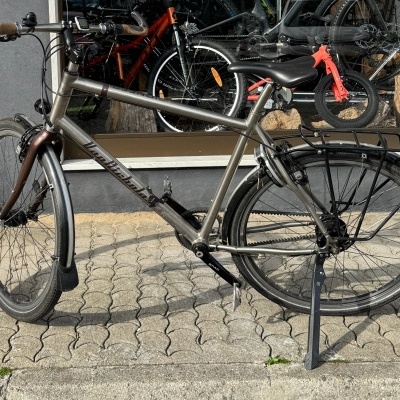 BICICLETA&#x20;VAN&#x20;NICHOLAS&#x20;PIONEER&#x20;ROHLOFF&#x20;-&#x20;USADA