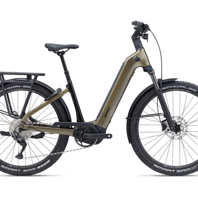 Bicicleta elétrica castanha com pneus pretos, suspensão e bagageira