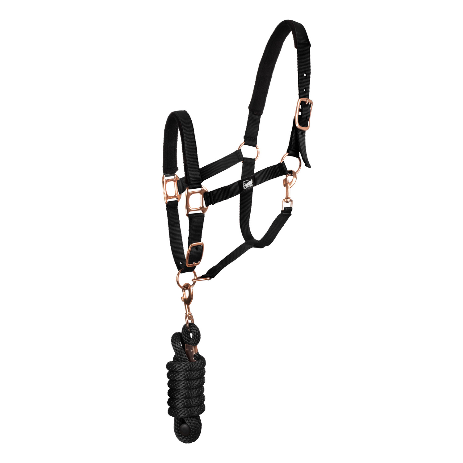 Cabresto preto com argolas douradas e corda preta enrolada