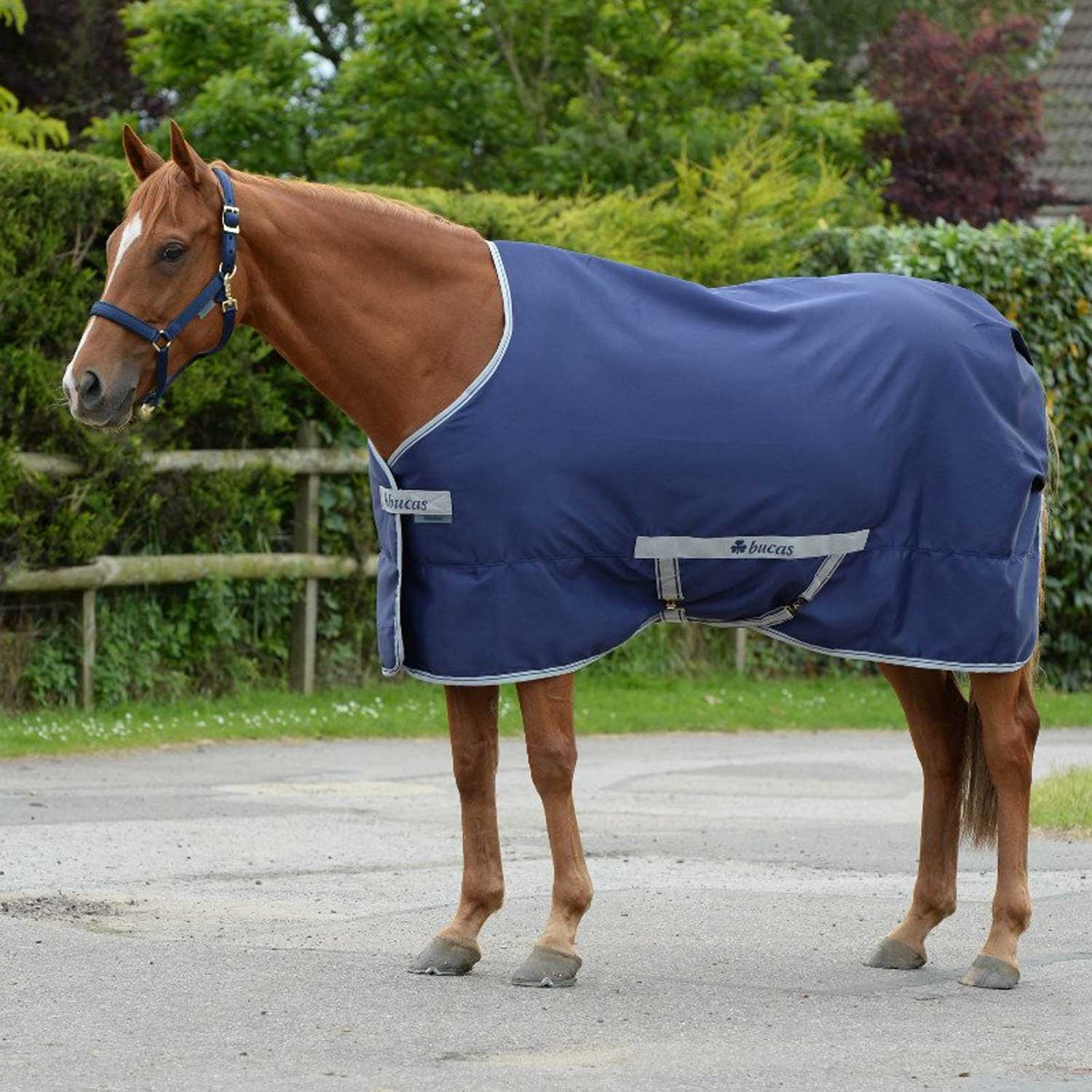 cavalo castanho com manta azul protectora marca Bucas ao ar livre