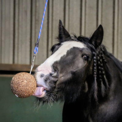 LIKIT&#x20;GRANOLO&#x20;STALL&#x20;BALL&#x20;BRINQUEDO