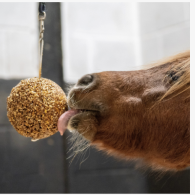 LIKIT&#x20;GRANOLA&#x20;STALL&#x20;BALL&#x20;BRINQUEDO