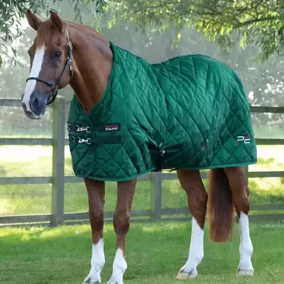 Cavalo castanho com manta verde acolchoada