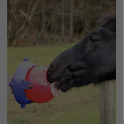 LIKIT&#x20;BRINQUEDO&#x20;TRAVA-L&#x00CD;NGUA