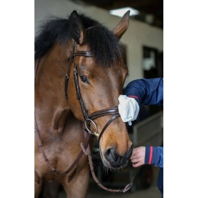 BELVOIR&#x20;TACK&#x20;CLEANER&#x20;MITT&#x20;&#x2013;&#x20;10&#x20;UNIDADES