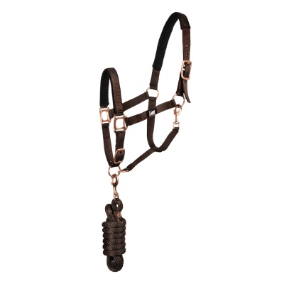 Cabresto para cavalo castanho com ferragens douradas e corda castanha