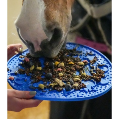 Placa azul texturizada com comida para animais sendo comida por cavalo