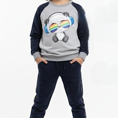 Menino com camisola cinza e azul com panda e calças azul-escuras