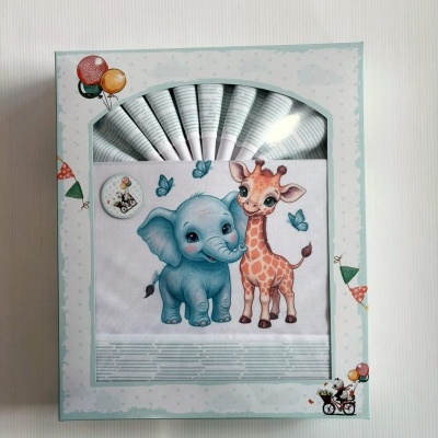 Caixa com cones desenhados e ilustração de elefante e girafa