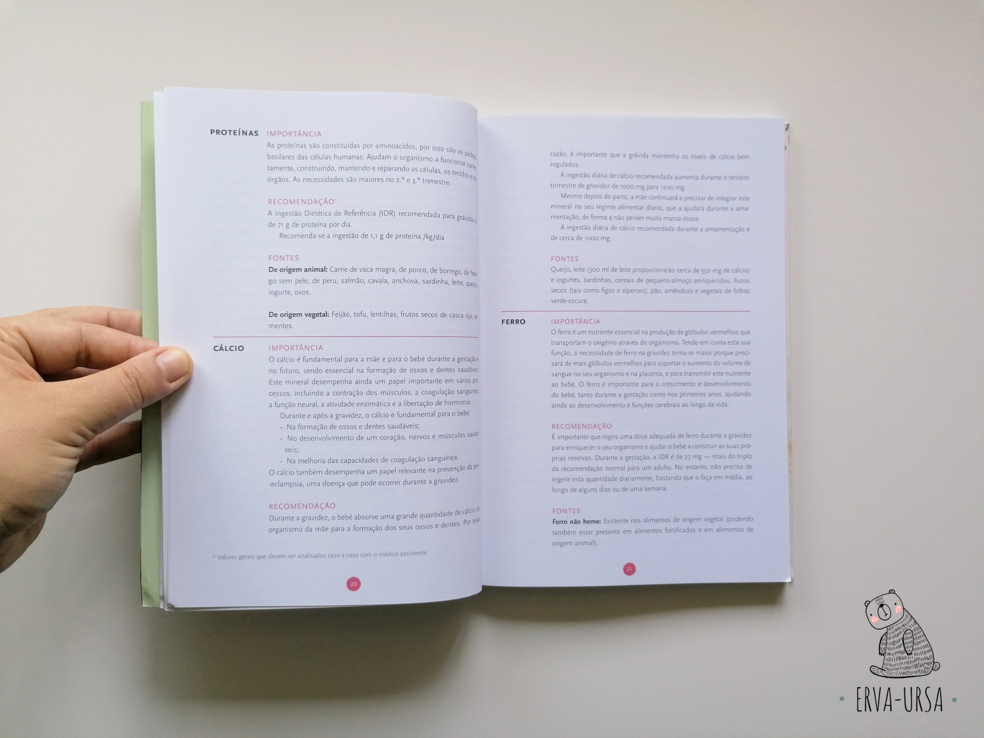 O livro de receitas para grávidas O livro de receitas para grávidas