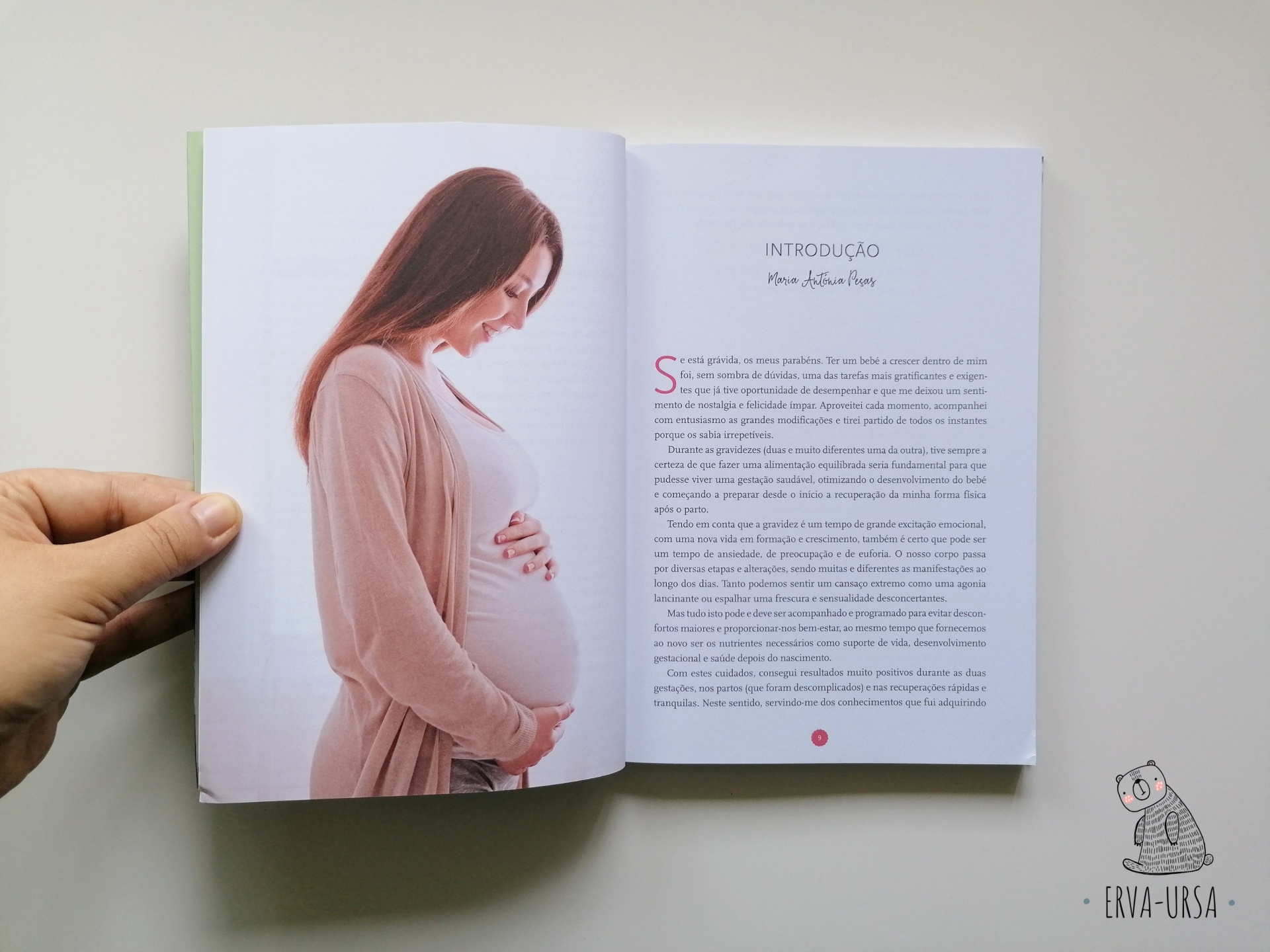 O livro de receitas para grávidas O livro de receitas para grávidas