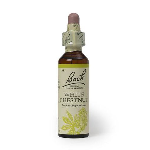 White Chestnut 20ml Floral Bach Frasco de Bach White Chestnut com conta-gotas e rótulo branco