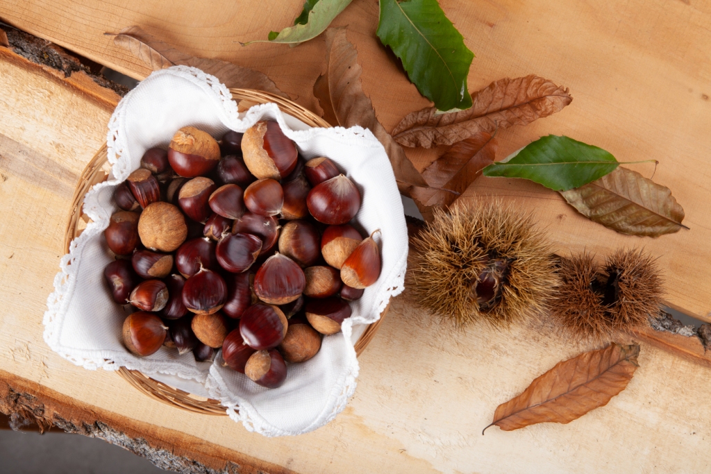 Cesta com castanhas marrons e tecido branco sobre mesa de madeira com folhas e ouriços de castanha