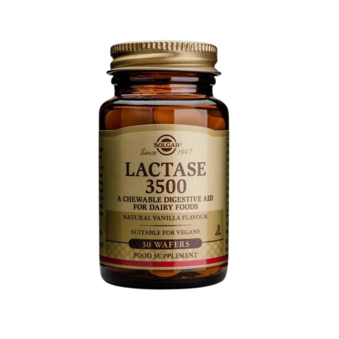 Lactase 3500 - 30 wafers Solgar Frasco do suplemento Solgar Lactase 3500 para digestão de laticínios