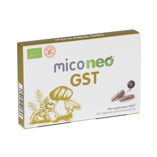 GST 60 Cápsulas Mico Neo Caixa de suplemento MICONEO GST com ilustração de cogumelos e cápsulas