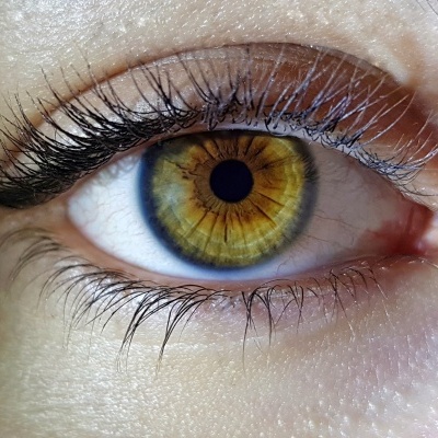 Olho humano macro com íris verde e castanha