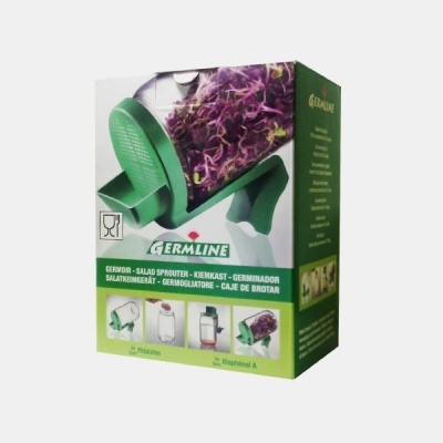 Germinador de salada verde na embalagem com brotos roxos visíveis