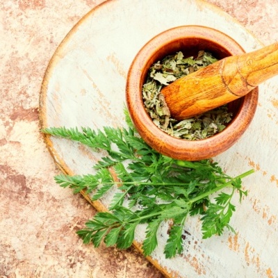 Almofariz de madeira com folhas secas e frescas sobre tábua de madeira