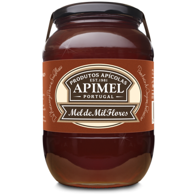 Frasco de vidro com mel de mil flores APIMEL