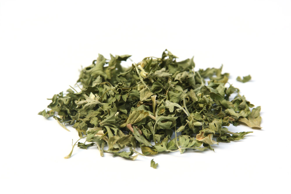 Salsa - condimento 10g Salsa - condimento 10g